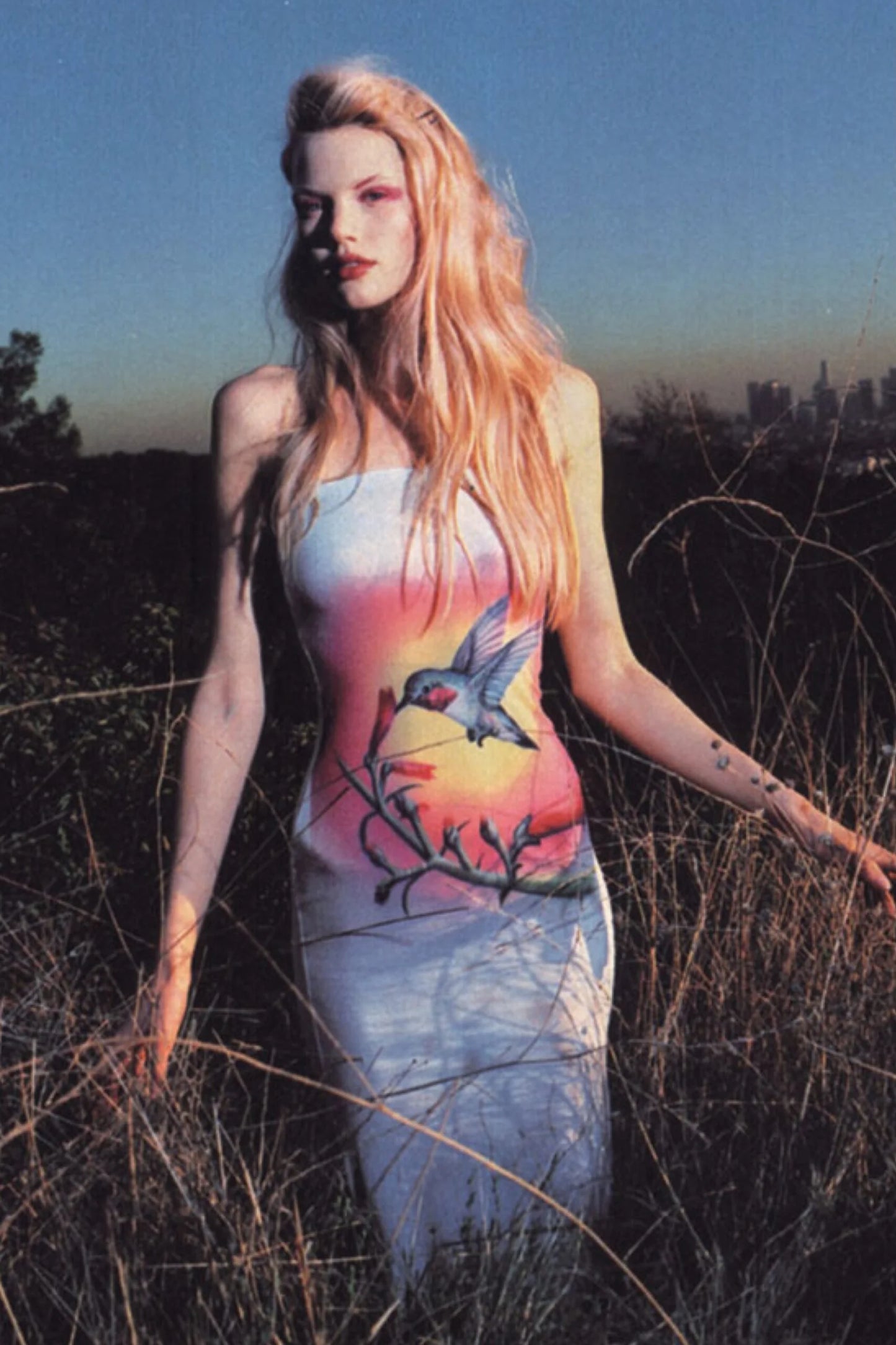 *RENTAL ONLY* (rare) (documented) Chloe S/S 1999 hummingbird dress